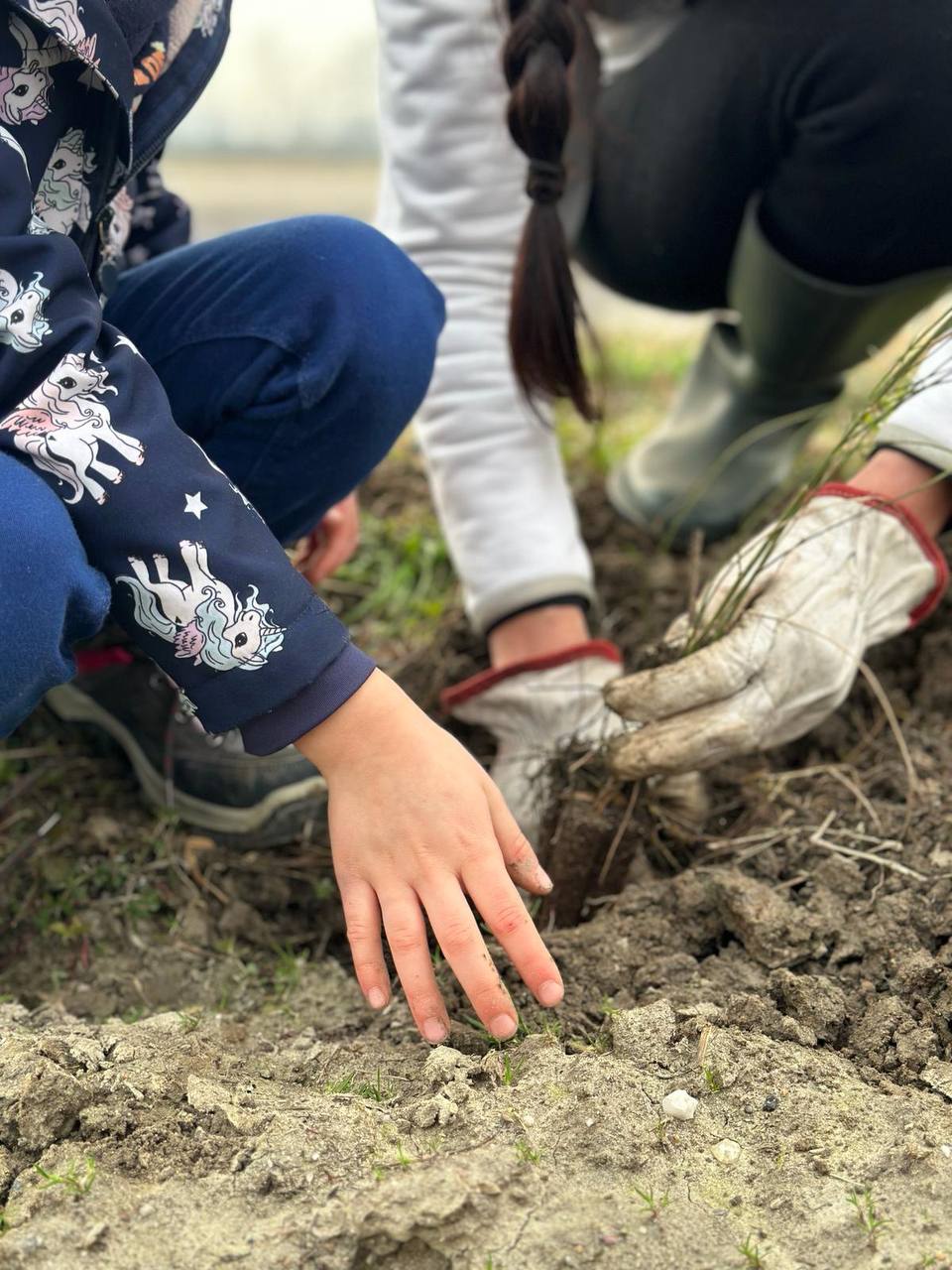 Agricoltura e Rigenerazione